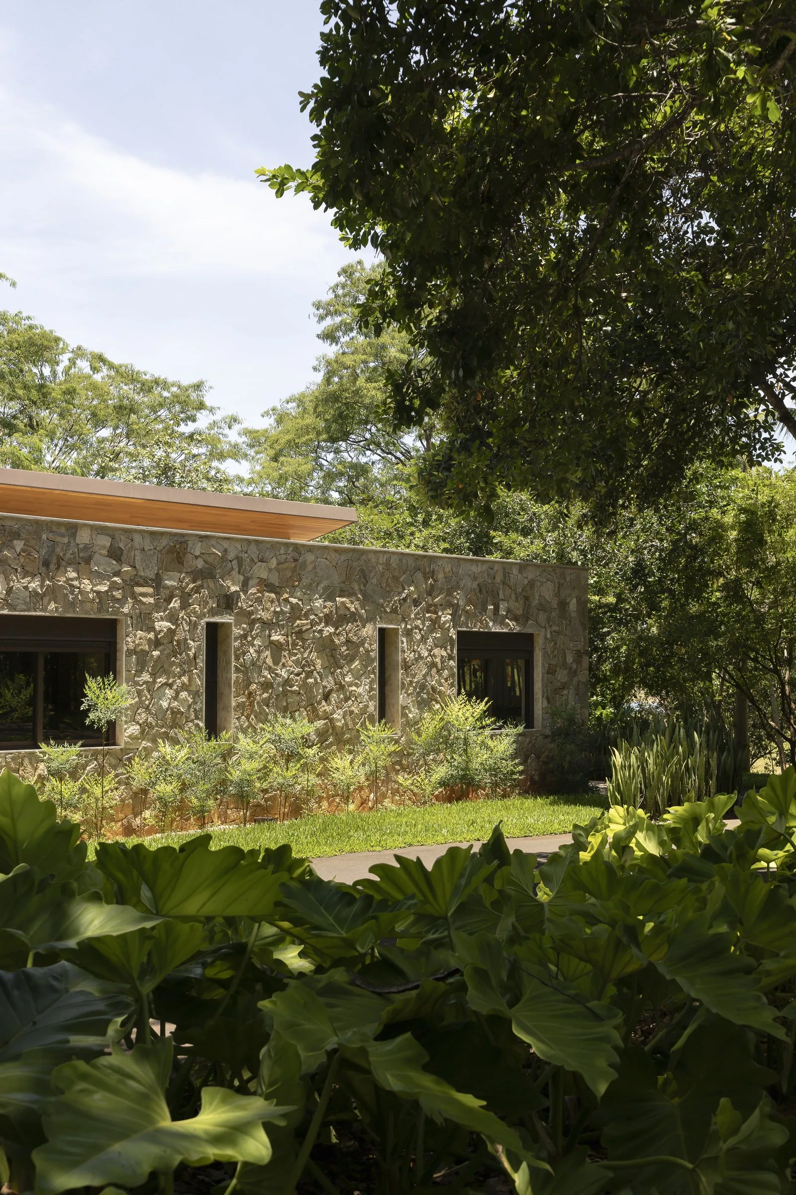 Fazenda Porto — Foto 15