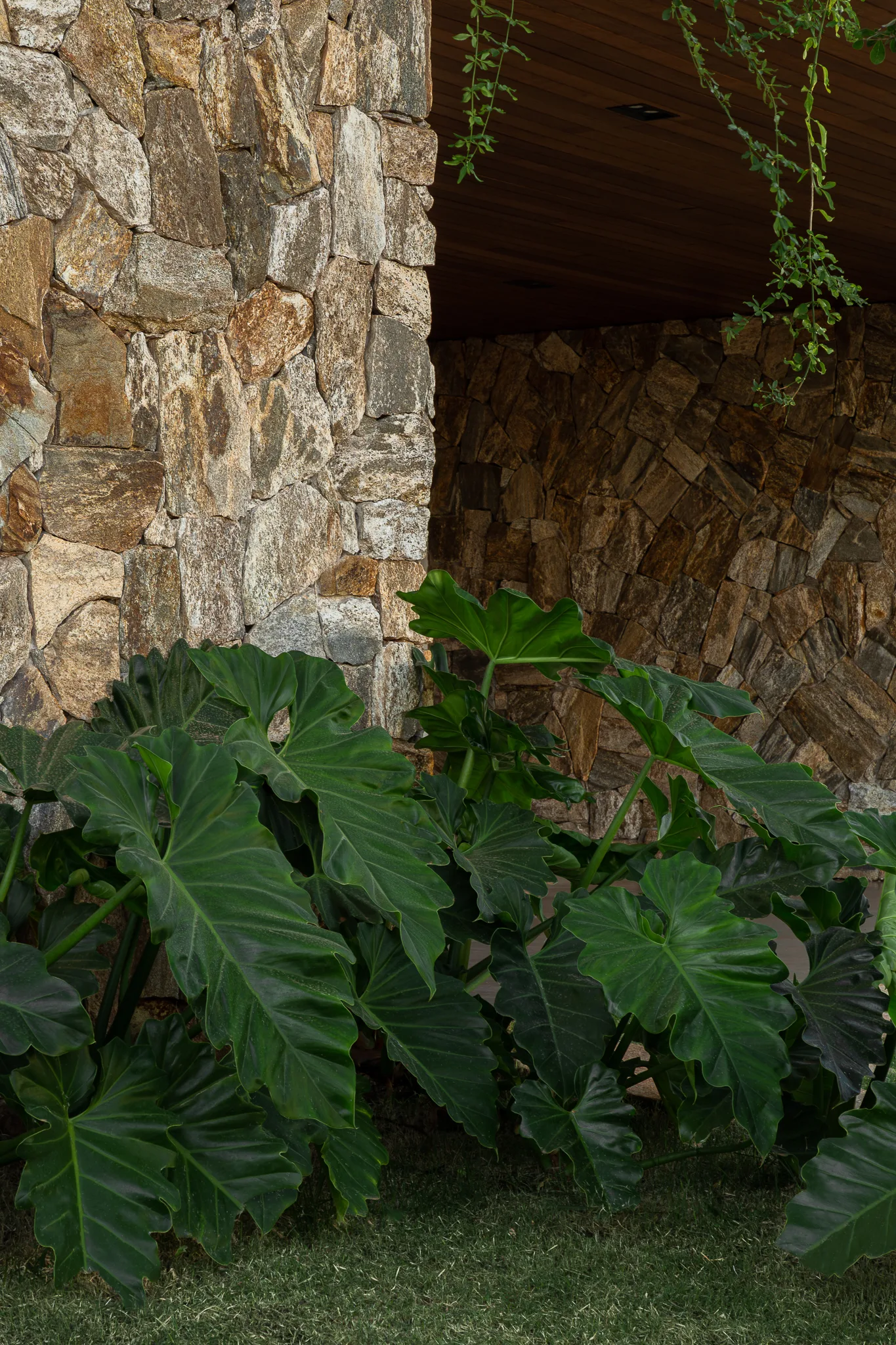 Casa da Oliveira  — Foto 3