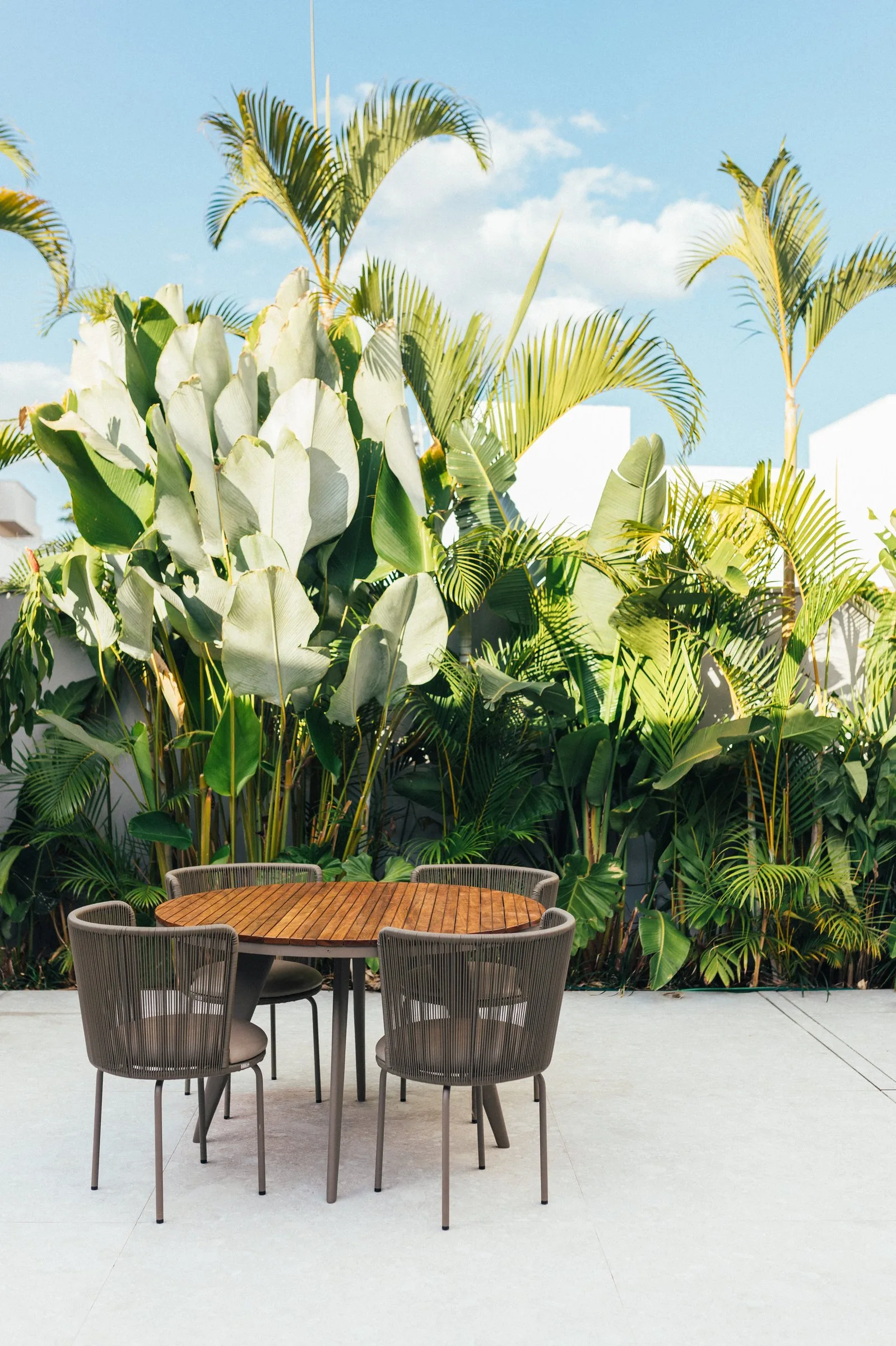 Casa TN+AA — Foto 5