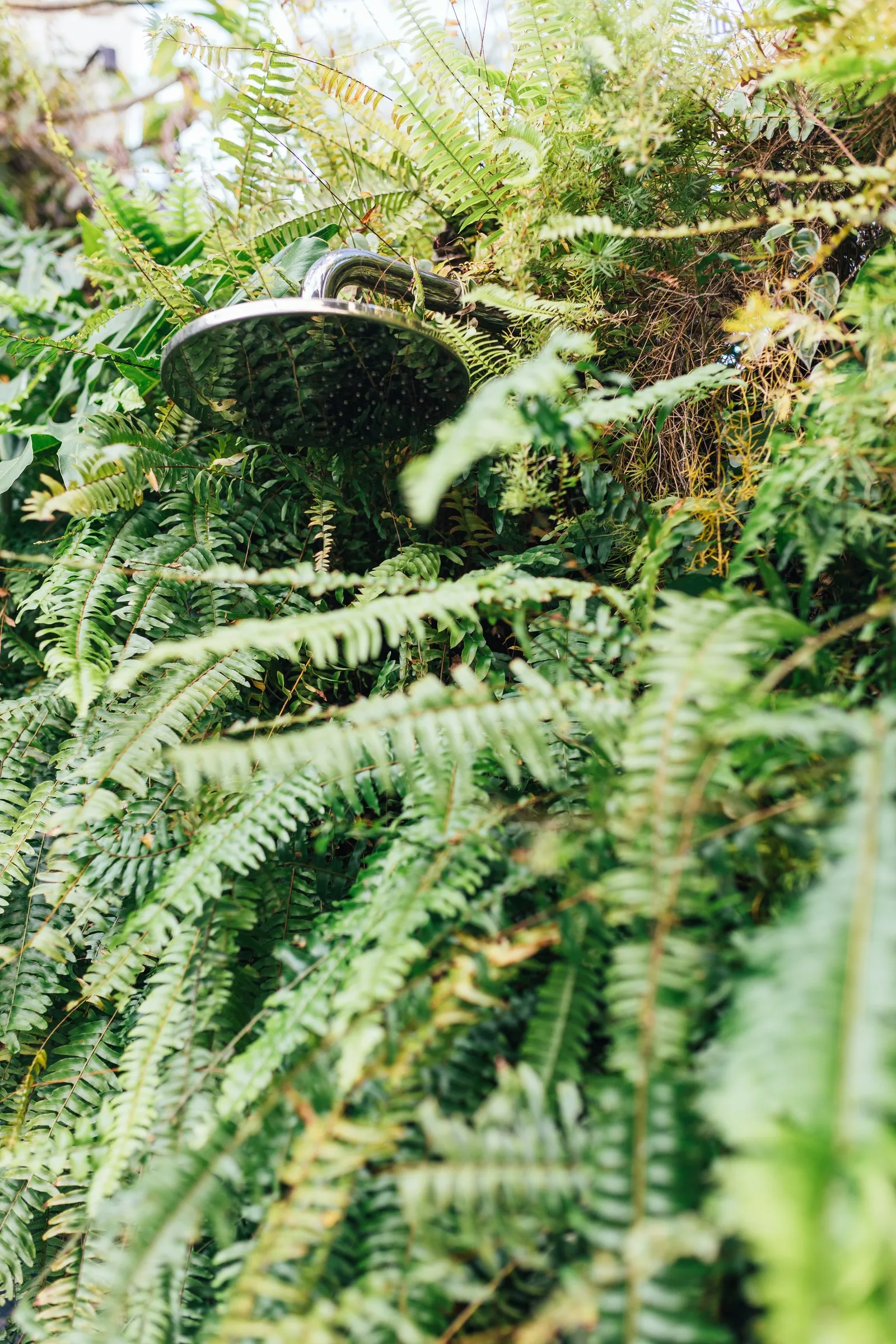 Casa TN+AA — Foto 16